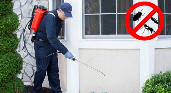 Baklan Gümüşkurt İlaçlama böcek ilaçlama ve haşere kontrolü — ilaclama-tr.com